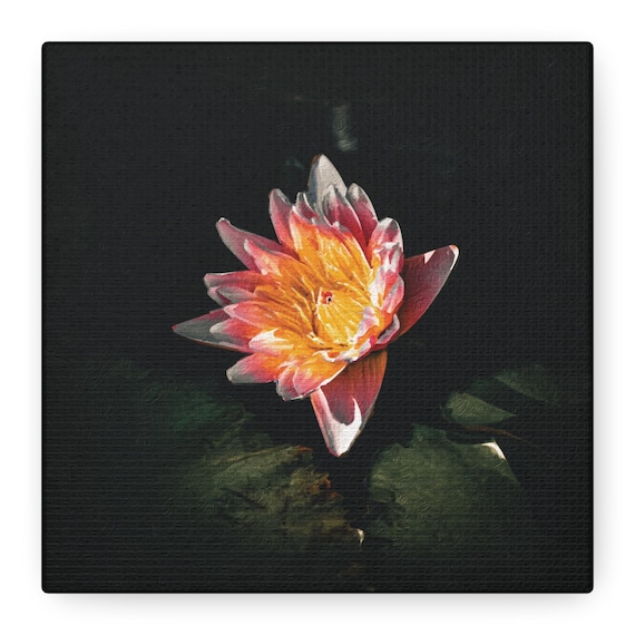 Vivid Lotus Flower Matte Canvas Art Print