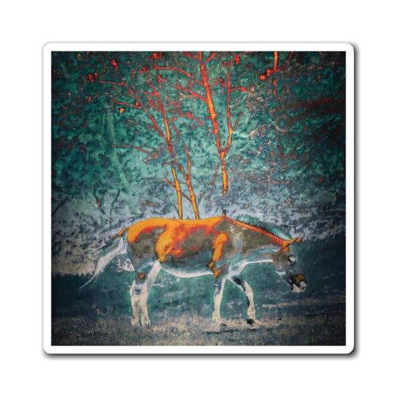 Graphic Art Horse Magnet | Photography Art