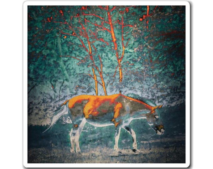 Graphic Art Horse Magnet | Photography Art
