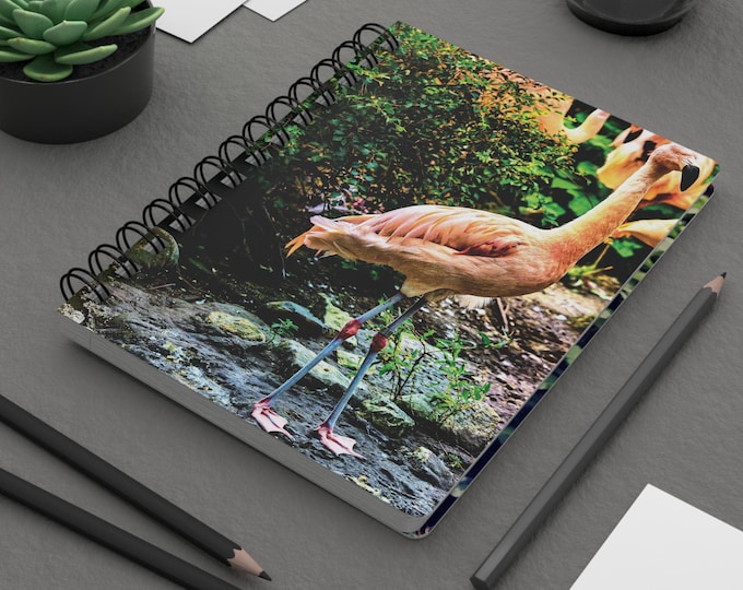 Vintage Pink Flamingo Graphic Spiral Notebook | Flamingo Journal, Tropical Bird Cover