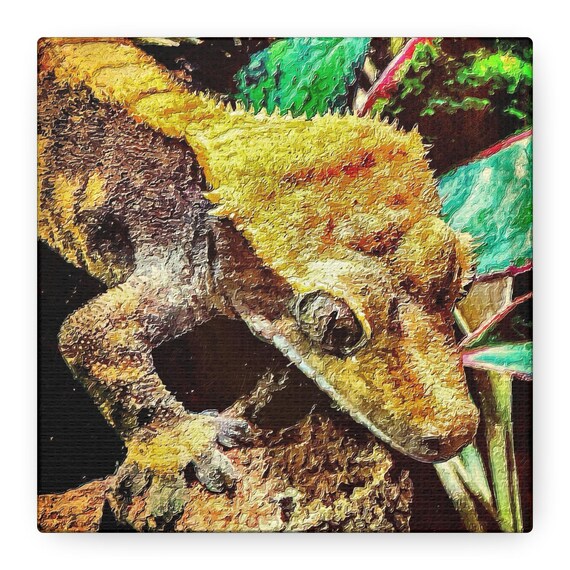 Crested Gecko Art Print Canvas