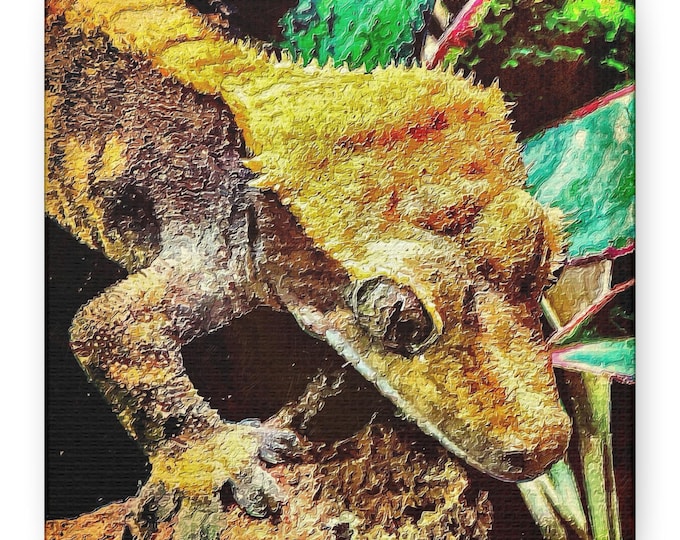 Crested Gecko Art Print Canvas