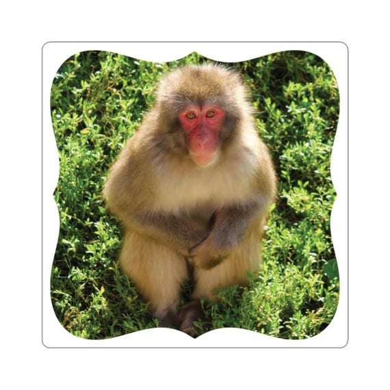 Japanese Snow Monkey Sticker | Kiss-Cut Animal Decal
