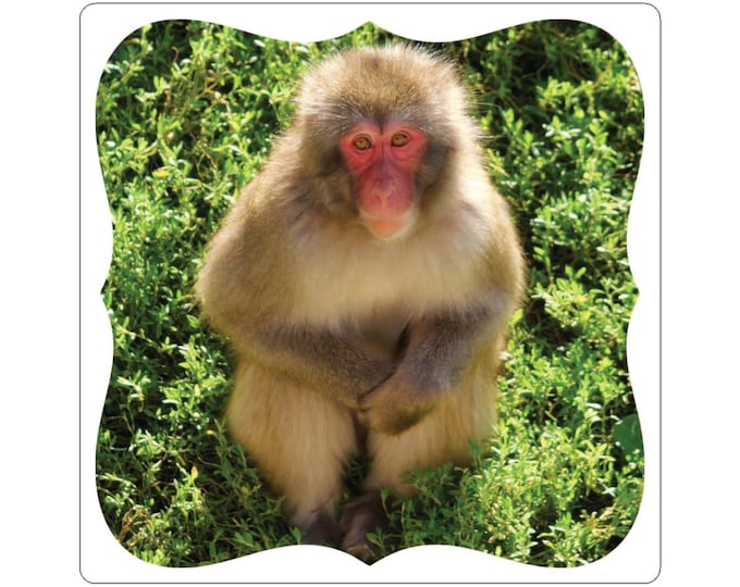 Japanese Snow Monkey Sticker | Kiss-Cut Animal Decal