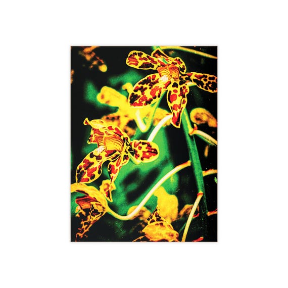 Tiger Orchid Ceramic Photo Tile | Floral Art Home Decor