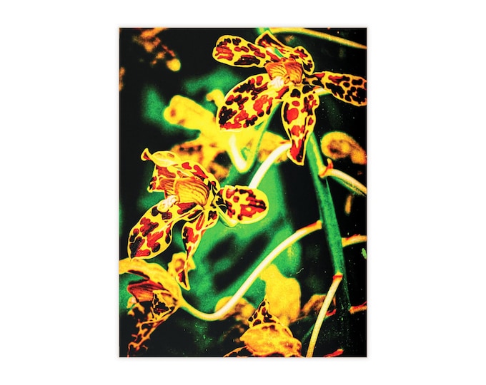 Tiger Orchid Ceramic Photo Tile | Floral Art Home Decor
