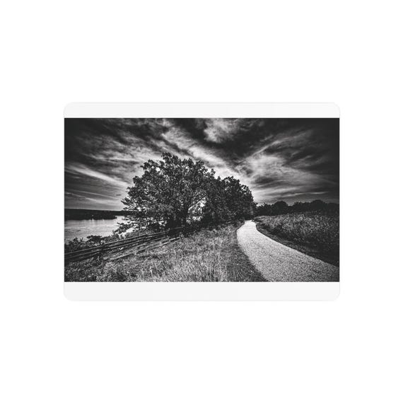 Scenic Nature Path - Metal Print Wall Art