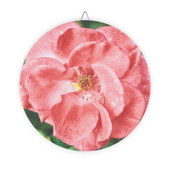 Pink Rose Wood Sign | Floral Wall Art
