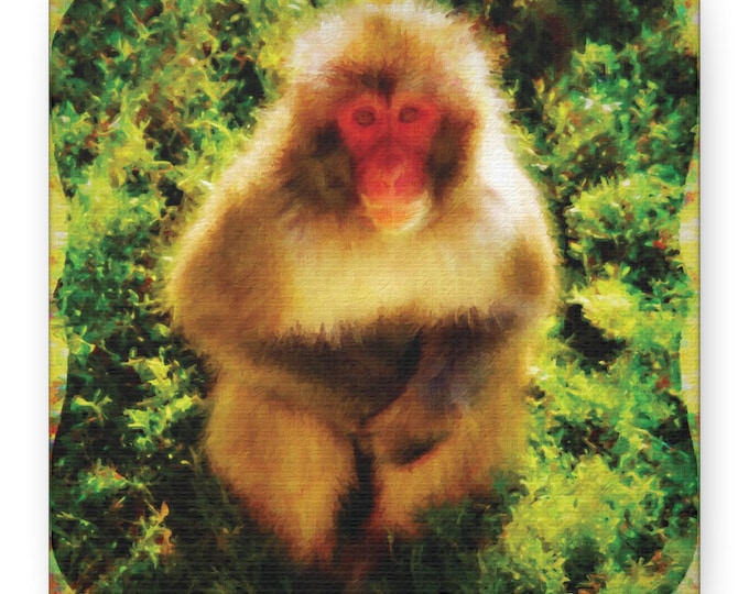 Japanese Snow Monkey Wall Canvas - Animal Art