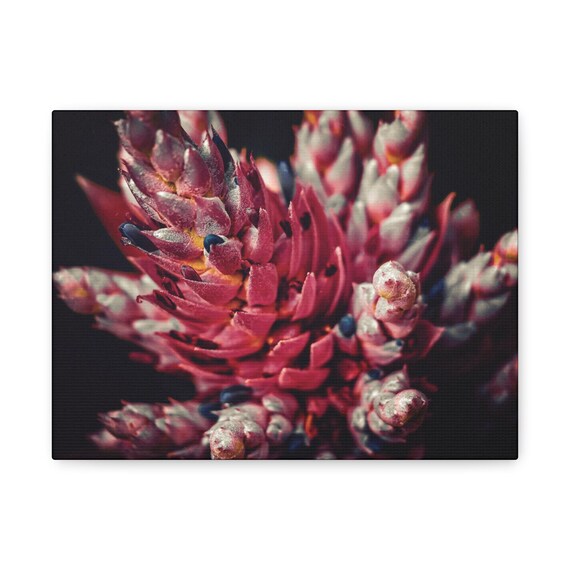 Vibrant Bromeliad Flower Matte Canvas