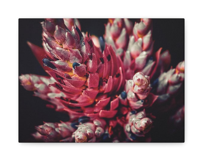 Vibrant Bromeliad Flower Matte Canvas