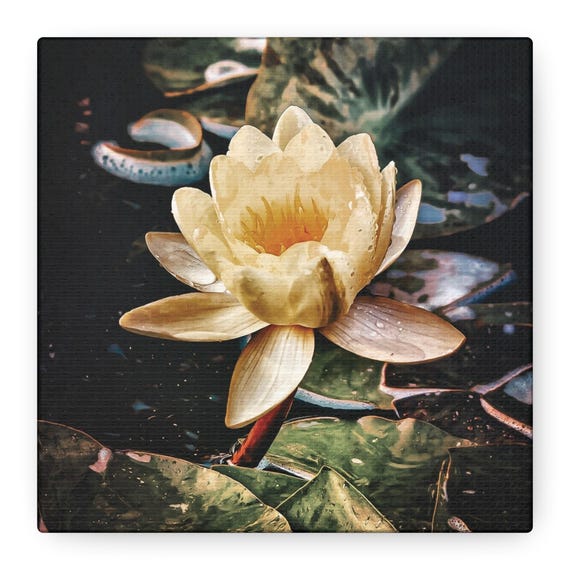 Yellow Lotus Flower Stretched Canvas