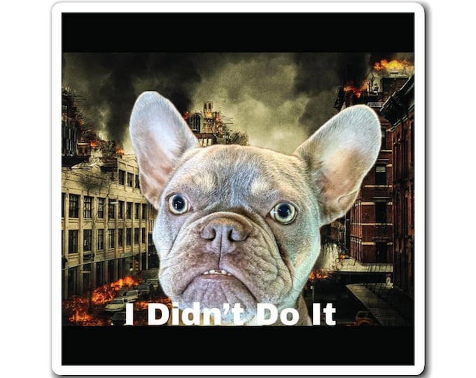 I Didn't Do It - French Bulldog Magnet | Funny Dog Art