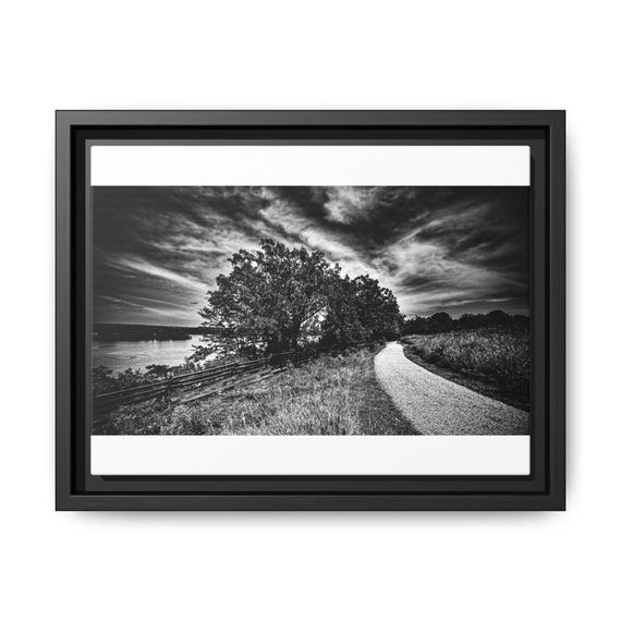 Nature Path Framed Matte Canvas | Black and White Landscape Wall Art