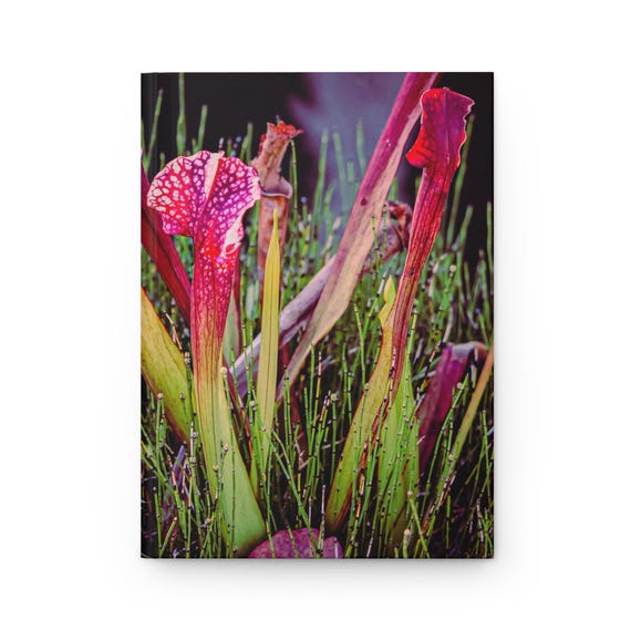 Botanical Garden Hardcover Journal | Plant Nature Notebook