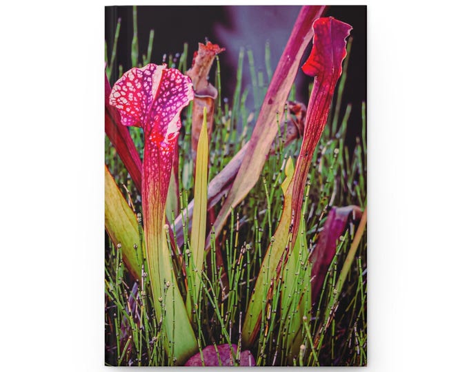 Botanical Garden Hardcover Journal | Plant Nature Notebook
