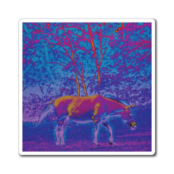 Graphic Art Horse Magnet (Rainbow) | Photography Art