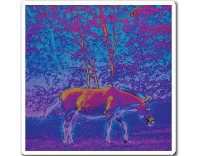 Graphic Art Horse Magnet (Rainbow) | Photography Art