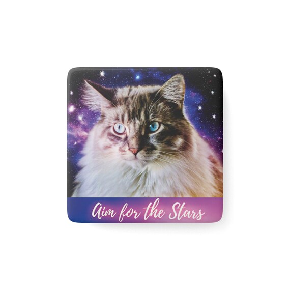 Aim for the Stars Cosmic Cat | Porcelain Magnet