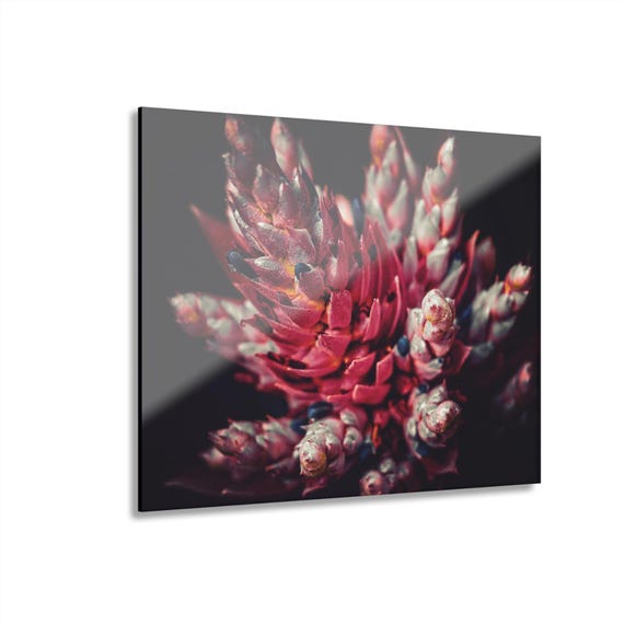 Vibrant Bromeliad Acrylic Print | Wall Art with French Cleat Hanging
