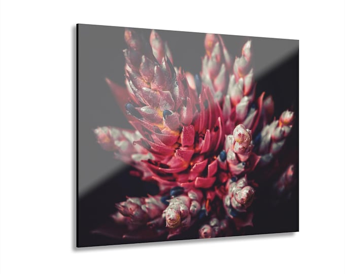 Vibrant Bromeliad Acrylic Print | Wall Art with French Cleat Hanging