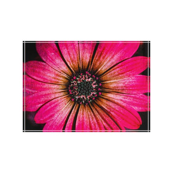 Pink Daisy Photo Block | Floral Home Decor
