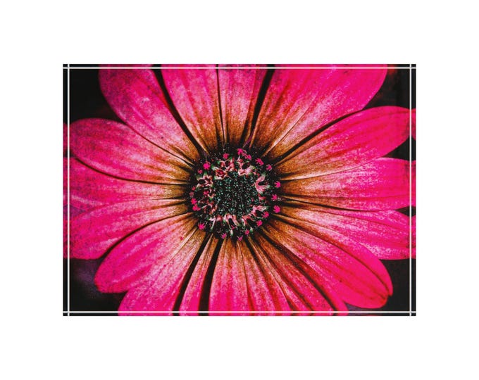 Pink Daisy Photo Block | Floral Home Decor