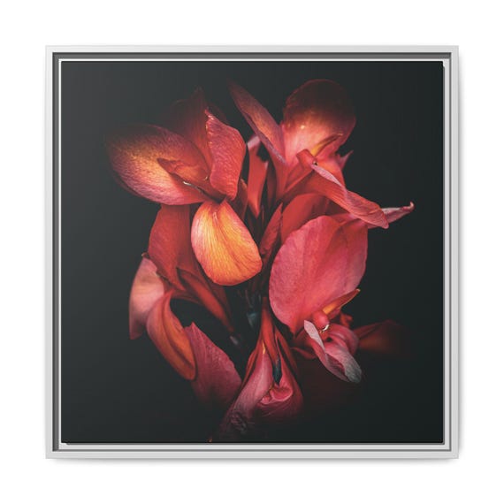 Red Canna Flower Framed Matte Canvas | Botanical Wall Art