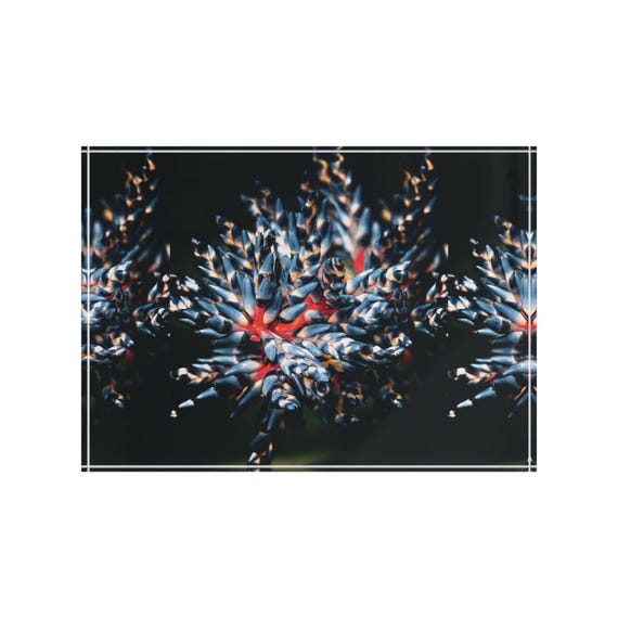 Bromeliad Flower Photo Block | Acrylic Floral Art