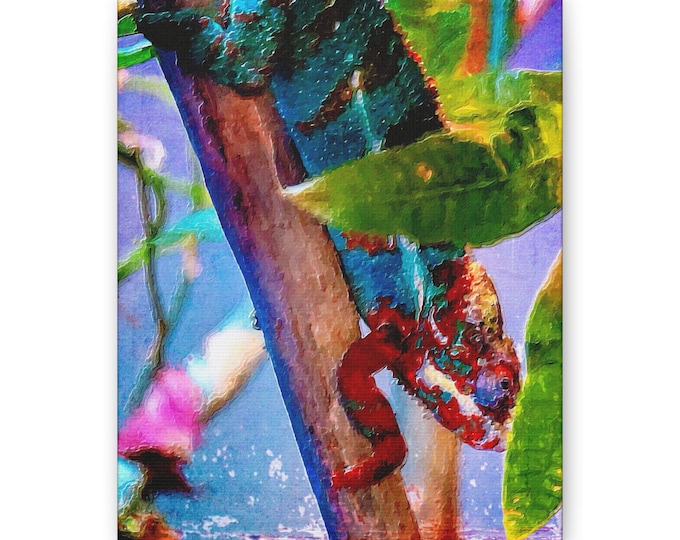Colorful Chameleon Canvas Art