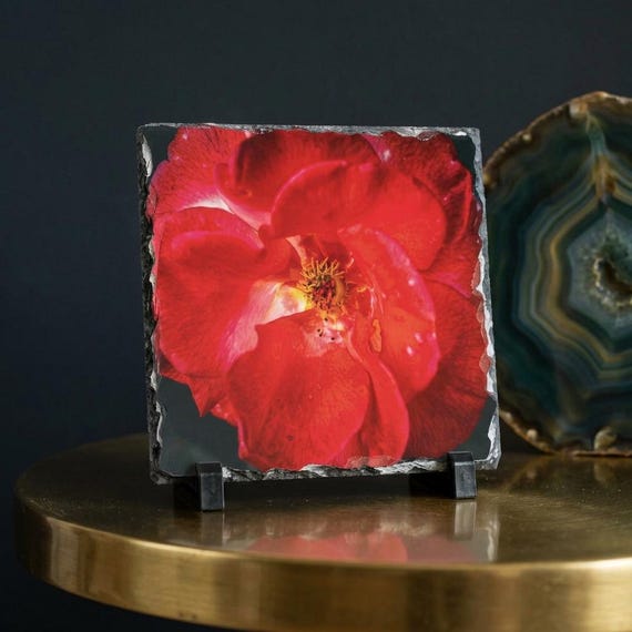 Red Rose Slate Desk Plaque | Floral Decor