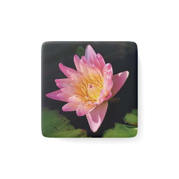 Pink Water Lily Porcelain Magnet | Floral Magnet