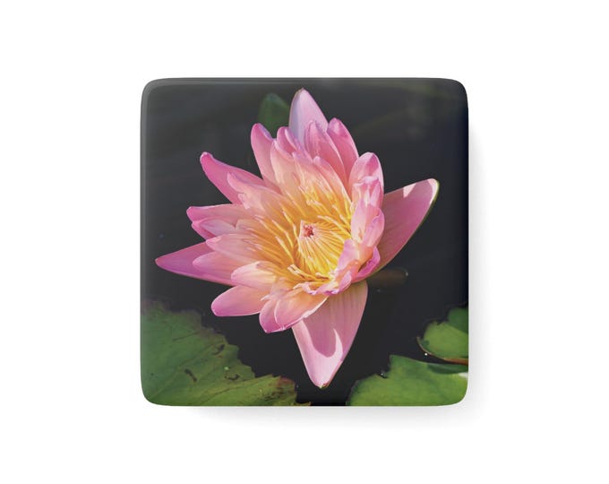 Pink Water Lily Porcelain Magnet | Floral Magnet