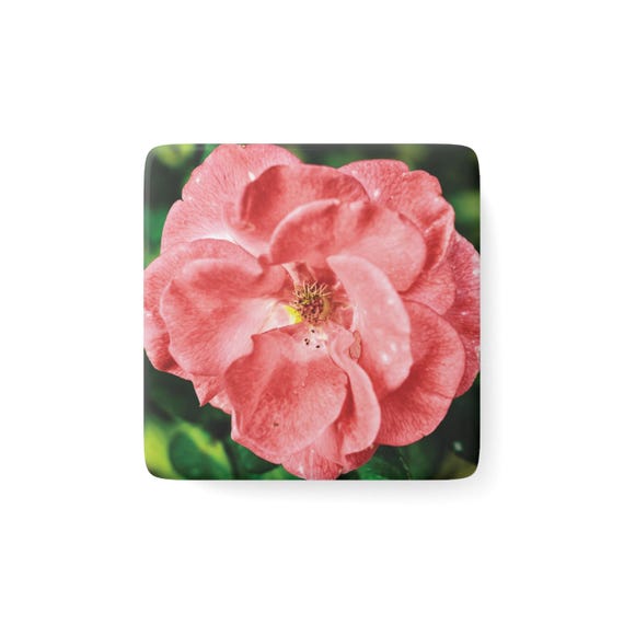 Pink Rose Blossom Porcelain Magnet | Flower Art
