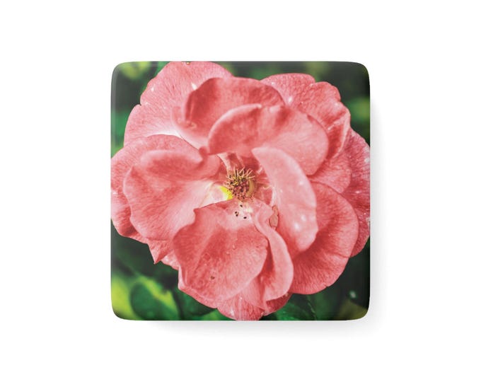 Pink Rose Blossom Porcelain Magnet | Flower Art