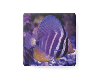 Sailfin Tang Porcelain Tropical Fish Magnet