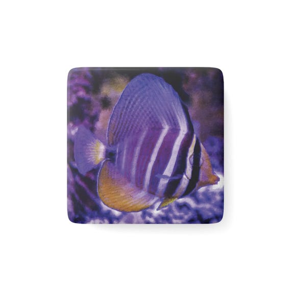 Sailfin Tang Porcelain Tropical Fish Magnet