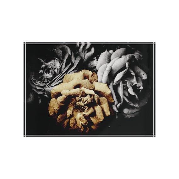 Vintage Sepia Roses Photo Block | Floral Decor