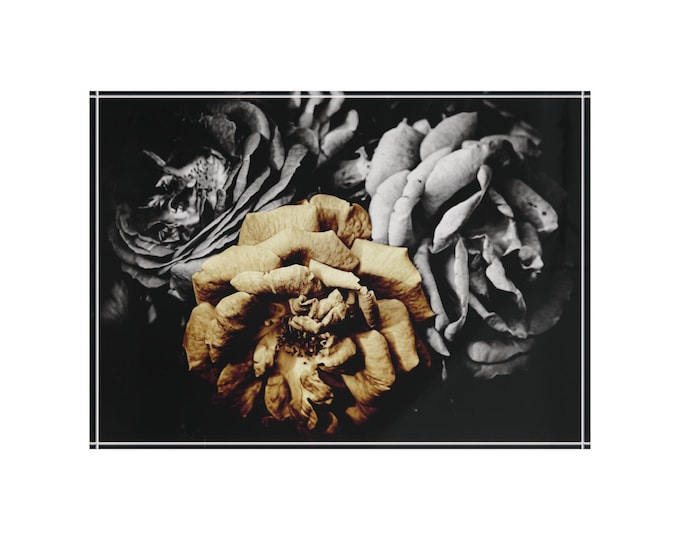 Vintage Sepia Roses Photo Block | Floral Decor