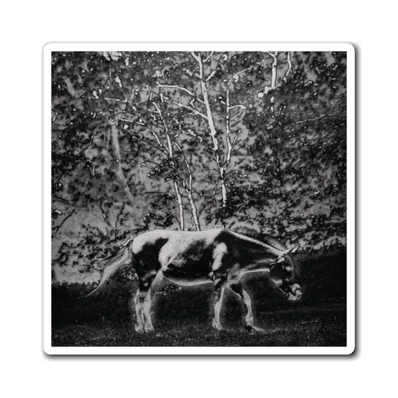 Graphic Art Horse Magnet (Black & White) | Photography Art