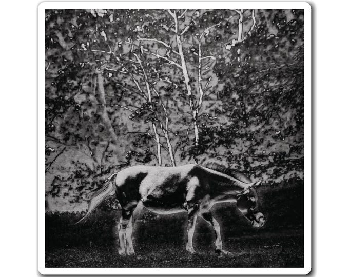 Graphic Art Horse Magnet (Black & White) | Photography Art