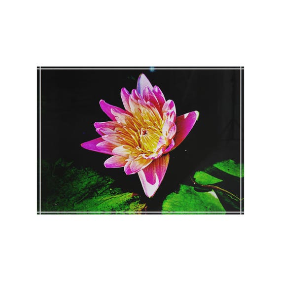 Pink Lotus - Floral Photo Block