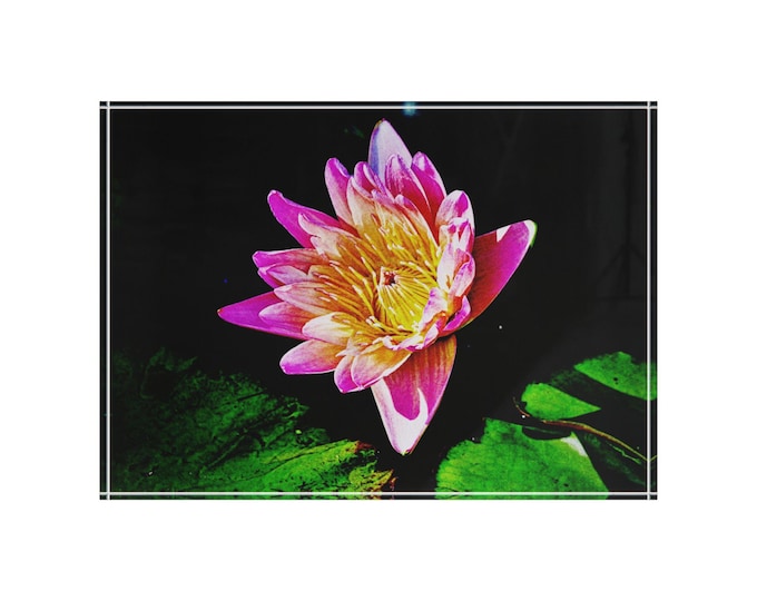 Pink Lotus - Floral Photo Block
