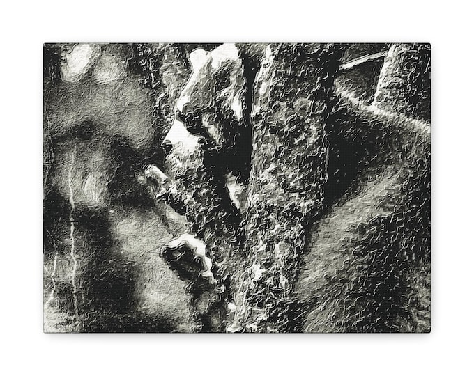 Red Panda Black and White Portrait Print Canvas | Matte Stretched Wall Art