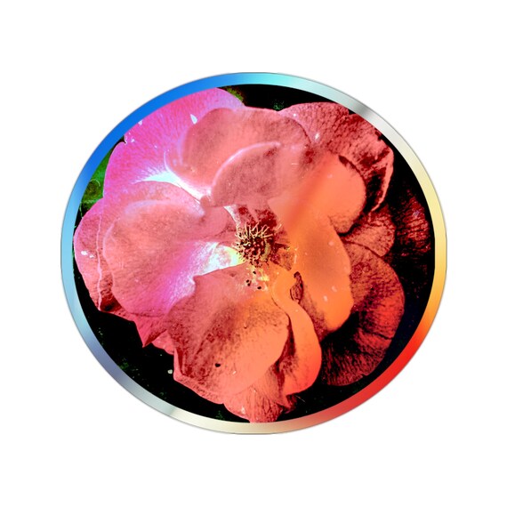 Holographic Red Rose Sticker | Die-Cut Floral Hologram