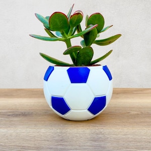 May include: A succulent plant in a white and blue football-shaped planter. The planter has a blue and white design.