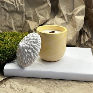 Handmade soy wax candle / candle with wooden wick / scented candle / gift candle / candle in plaster container