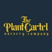 Profilbild von ThePlantCartelStore