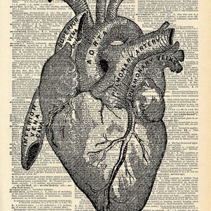 Vintage Book Art Print Anatomical Heart Art Upcycled Book Print Love Heart Anatomical Medical Diagram Dictionary Art Print image 2