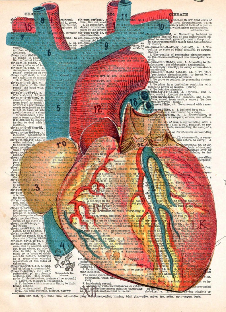 Vintage Book Art Print Anatomical Heart Art Upcycled Book Etsy